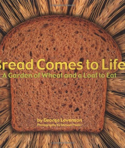 Bread Comes to Life: A Garden of Wheat and a Loaf to Eat