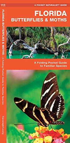Florida Butterflies & Moths: A Folding Pocket Guide to Familiar Species (A Pocket Naturalist Guide)