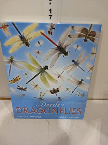 A Dazzle of Dragonflies