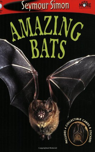Amazing Bats: See More Readers Level 1