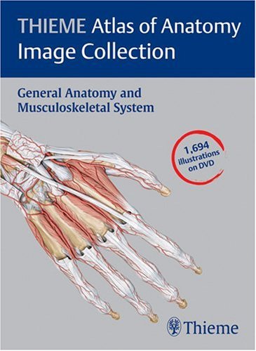 No Image Available