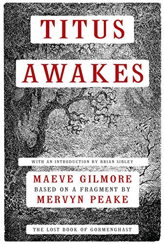 Titus Awakes: A Novel