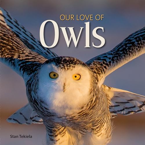 Our Love of Owls (Our Love of Wildlife)