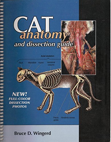Cat Anatomy and Dissection Guide