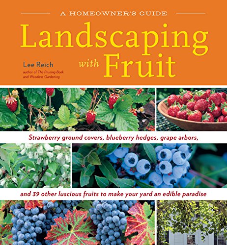 A Homeowners Guide Landscaping With Fruit