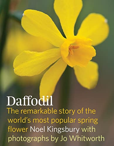 Daffodil: The Remarkable Story of the World's Most Popular Spring Flower