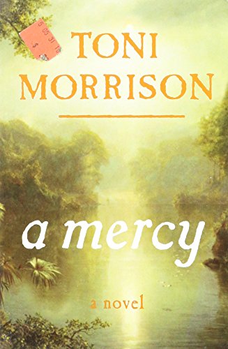 a mercy - Trade Book