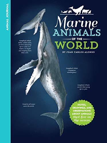 Animal Journal: Marine Animals of the World: Notes, drawings, and observations about animals that live in the ocean