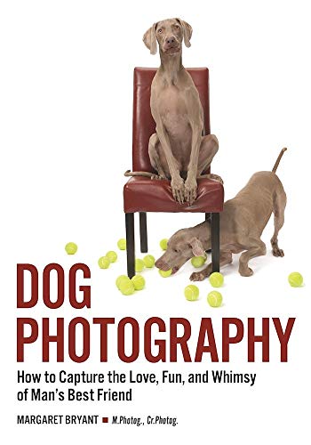 No Image Available