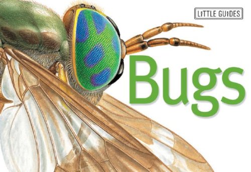 Bugs (Little Guides)