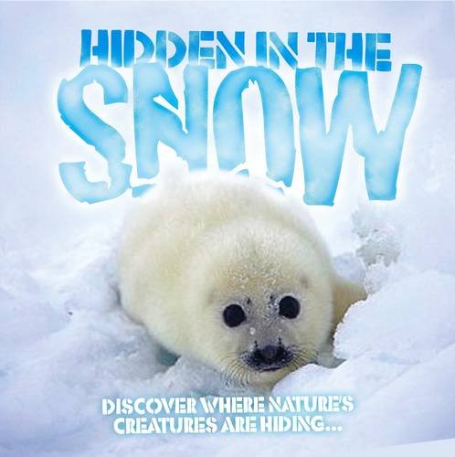 Hidden in the Snow by Taylor, Barbara (2012) Paperback