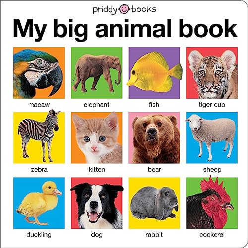 My Big Animal Book.
