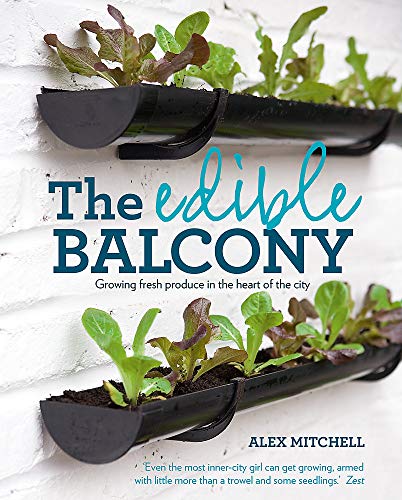 Edible Balcony: Growing Fresh Produce in the Heart of the City