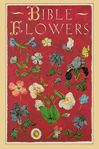 No Image Available