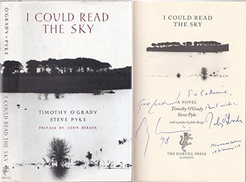 I Could Read the Sky: A Novel
