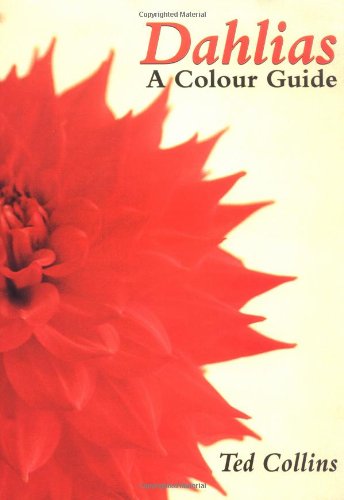 Dahlias: A Colour Guide