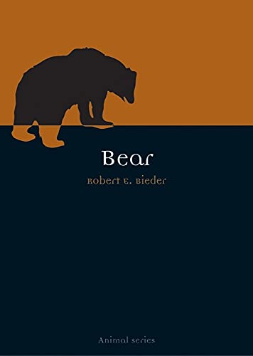 Bear (Animal)