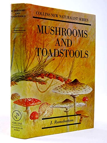 Mushrooms & Toadstools