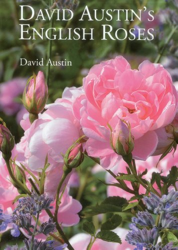 David Austin's English Roses