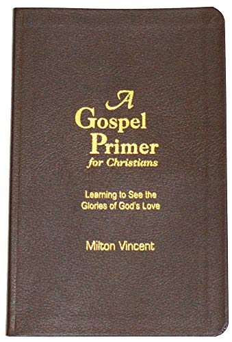 A Gospel Primer for Christians: Learning to See the Glories of God's Love