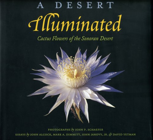A Desert Illuminated: Cactus Flowers of the Sonoran Desert