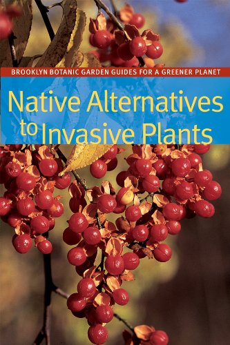 Native Alternatives to Invasive Plants