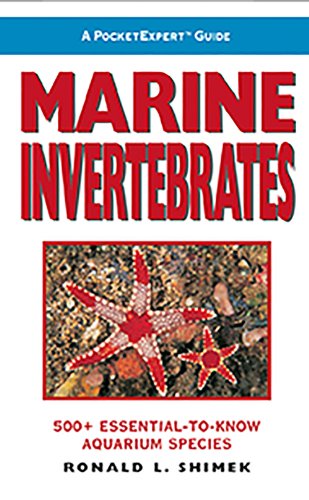 A PocketExpert Guide to Marine Invertebrates: 500+ Essential-to-Know Aquarium Species
