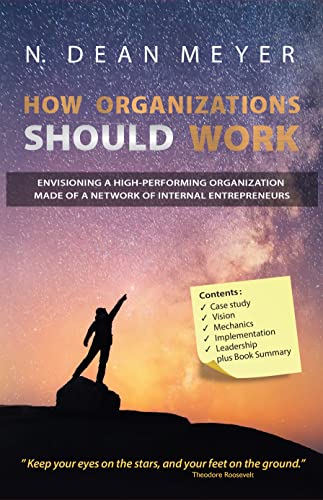 How Organizations Should Work: envisioning a high-performing organization made of a network of internal entrepreneurs