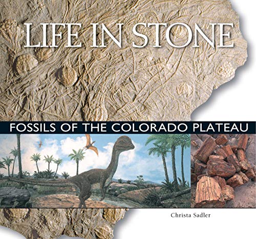 Life in Stone: Fossils of the Colorado Plateau