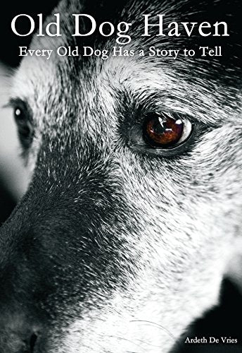 Old Dog Haven: Every Old Dog Has a Story to Tell