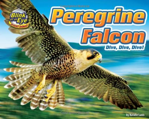 Peregrine Falcon: Dive, Dive, Dive! (Blink of an Eye: Superfast Animals)