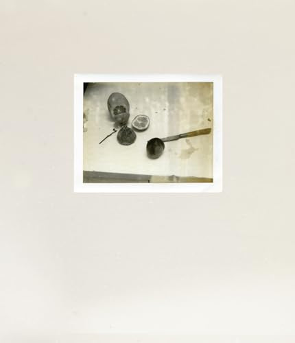 Laura Letinsky: Time's Assignation: The Polaroids