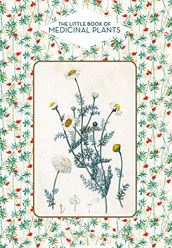 No Image Available