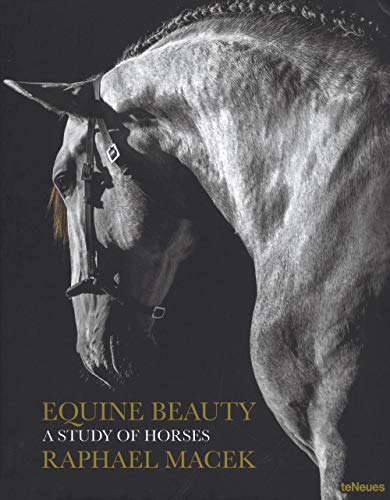 Equine Beauty: A Study of Horses (English and German and Spanish and French and Portuguese Edition)