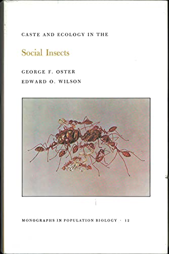Caste and Ecology In Social Insects