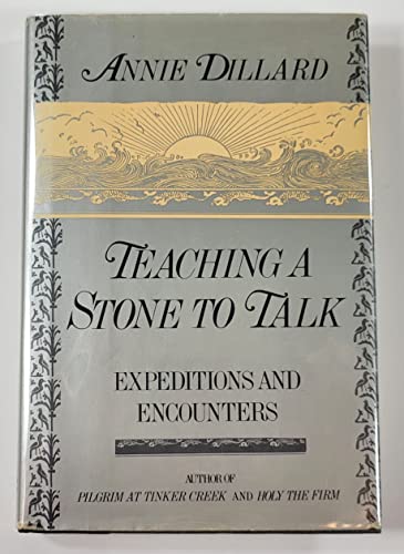 Teaching a Stone to Talk