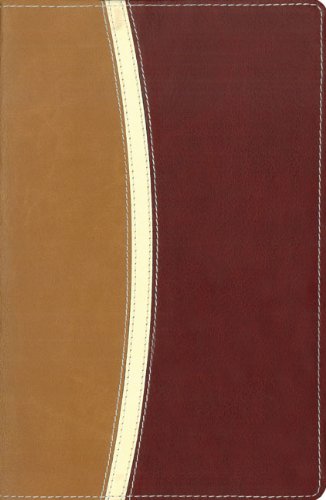 NIV Large Print Reference Personal Size Bible, Italian Duo-tone, Camel / Burgundy