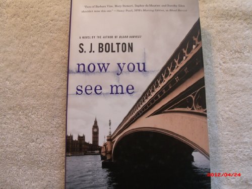 Now You See Me (Lacey Flint Novels)