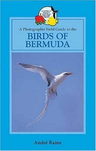 A Field Guide to the Birds of Bermuda (Caribbean Pocket Natural History)
