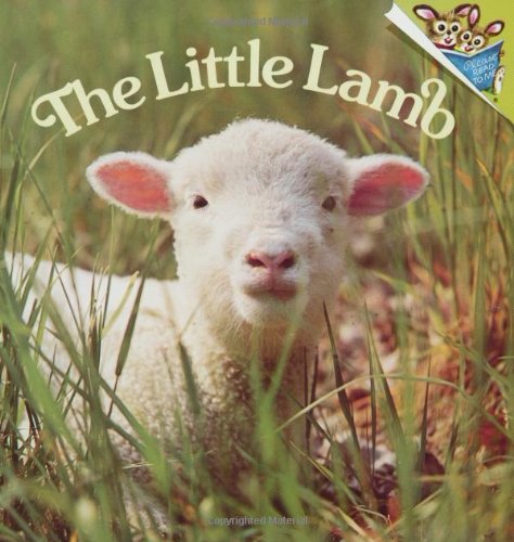 The Little Lamb (Pictureback(R))