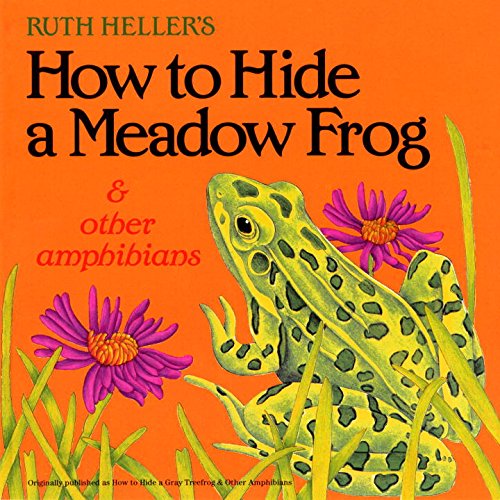How to Hide a Meadow Frog and Other Amphibians (Reading Railroad)
