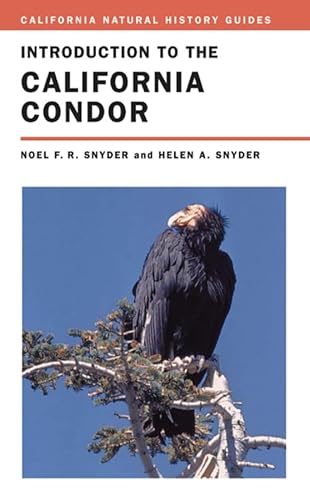 Introduction to the California Condor (Volume 81) (California Natural History Guides)