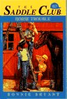 Horse Trouble (Saddle Club, 23)