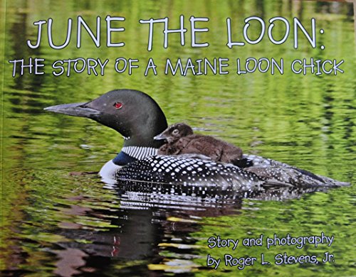 June the Loon:The Story of a Maine Loon Chick