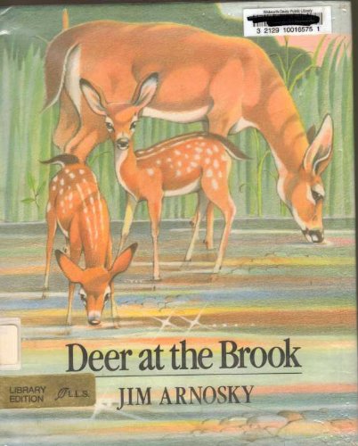 Deer at the Brook