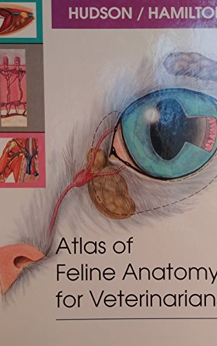 Atlas of Feline Anatomy for Veterinarians