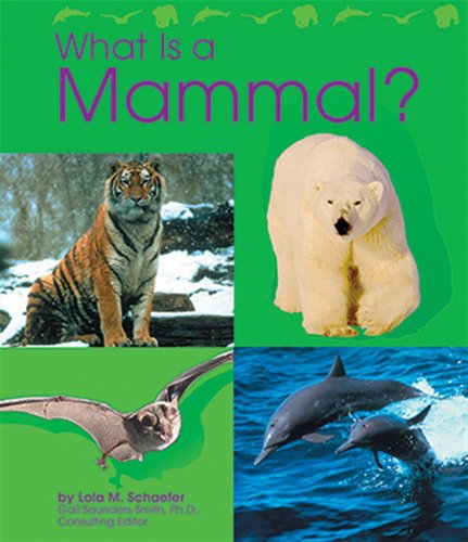 What Is a Mammal? (The Animal Kingdom)