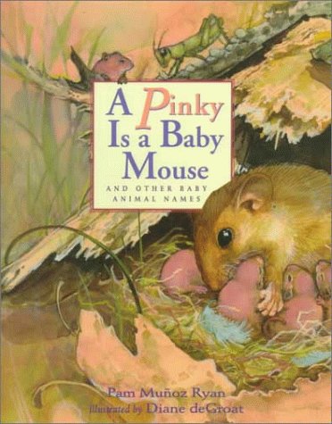 A Pinky is a Baby Mouse: And Other Baby Animal Names
