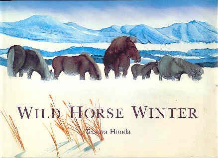 Wild Horse Winter