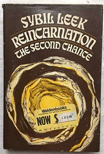 Reincarnation: The Second Chance